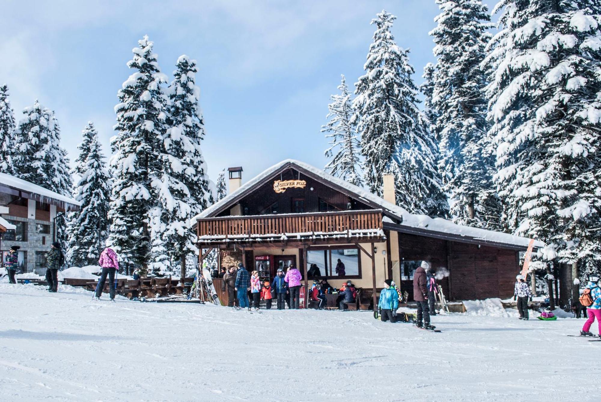 Alpine Ski Chalet Borovets With Sauna Villa Exterior foto