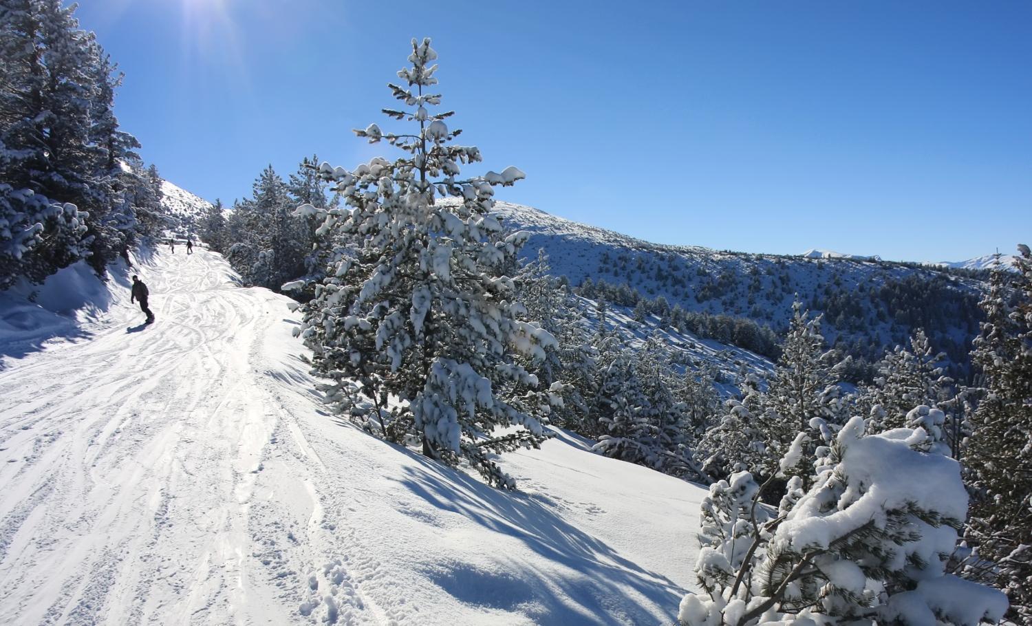 Alpine Ski Chalet Borovets With Sauna Villa Exterior foto