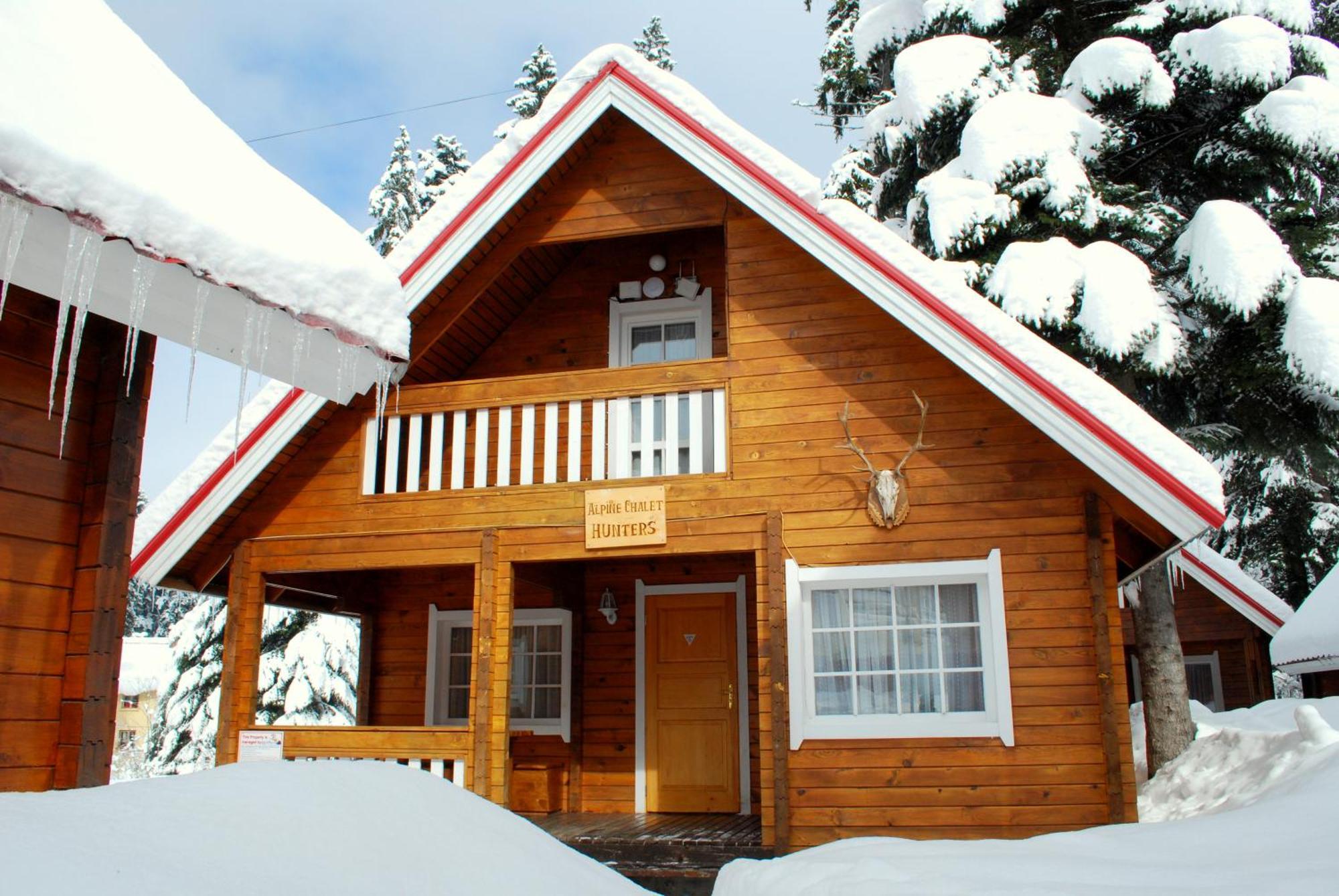 Alpine Ski Chalet Borovets With Sauna Villa Exterior foto