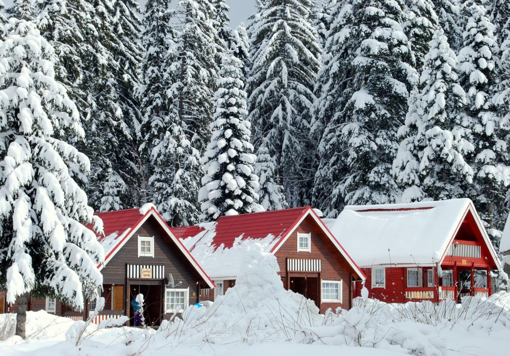 Alpine Ski Chalet Borovets With Sauna Villa Exterior foto