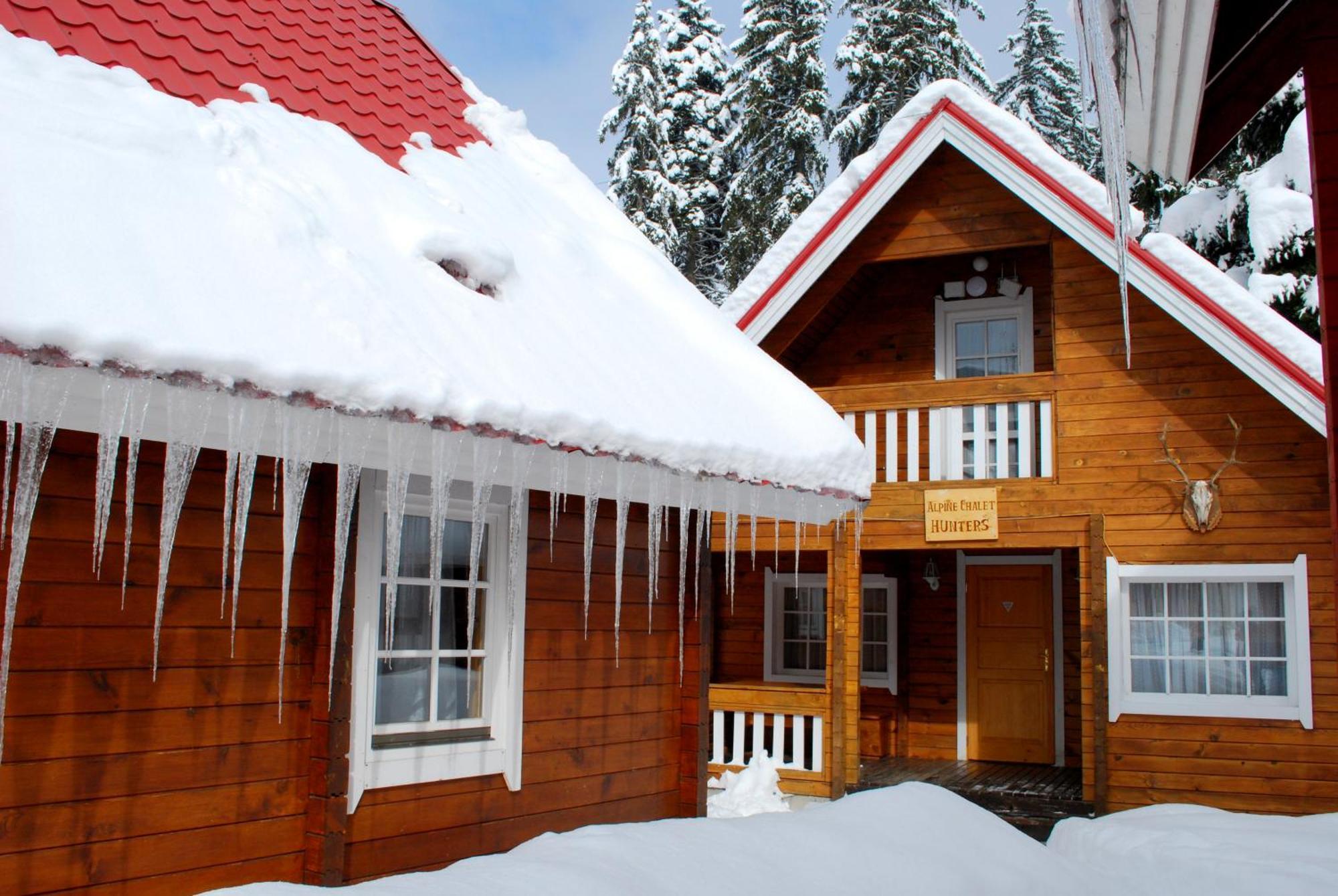 Alpine Ski Chalet Borovets With Sauna Villa Habitación foto